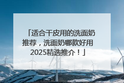 适合干皮用的洗面奶推荐，洗面奶哪款好用2025精选推介！